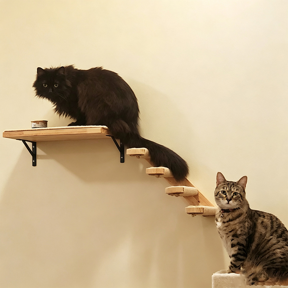 Cat Furniture Solid Wooden Sus - Furniture Paradise & Hardware Ghaziabad Reviews review and price