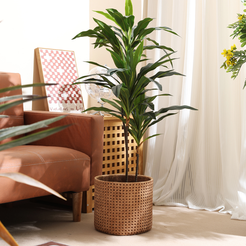 Furniture for small-sized apar - Furniture Paradise & Hardware Ghaziabad Reviews review and price